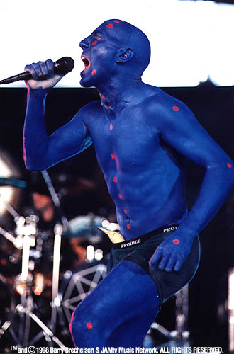 44703.jpg