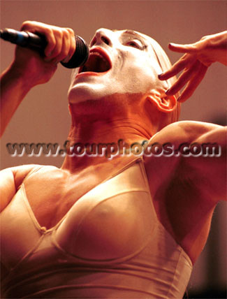 whitefacebra4.jpg